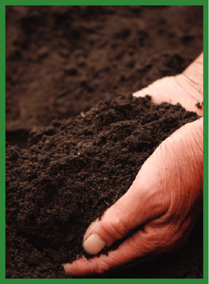 Soil